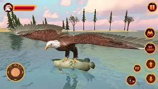 Furious Eagle Family Simulator (by Tap 2 Sim) Android Gameplay [HD]