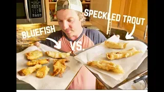 NEVER THROW BACK BLUEFISH AGAIN! Bluefish vs Speckled Trout Catch and Cook