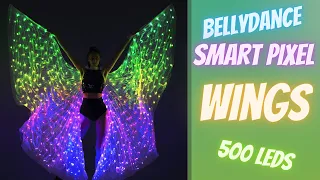 LED Wings 500 Pixels Isis Belly Dance Costumes by ETERESHOP