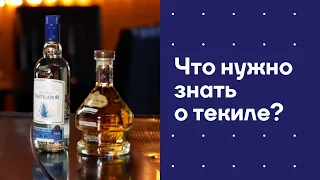 Что нужно знать о текиле?