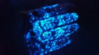 Beautiful Bioluminescence algae (Noctiluca scintillans)