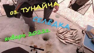 Ловля селёдки на оз.Тунайча в январе 2022 год.
