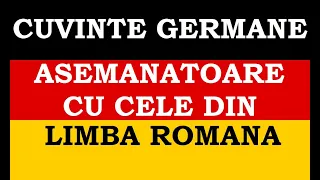 Invata Germana | Cuvinte GERMANE asemanatoare cu cele din LIMBA ROMANA