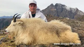 Alaska Mountain Goat Hunt 2018 with Southeast Alaska Guiding