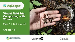 Composting with Worms Virtual Field Trip