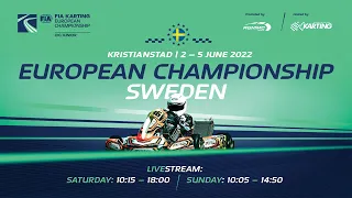 FIA Karting European Championship 2022 Junior / OK, Round 3 - Kristianstad / Sweden (Sunday)