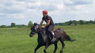 Galopske konjicke trke "VASKRSNJA" trka