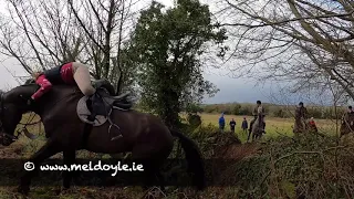 Fingal Harriers "In Remembrance of Emma"