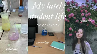 My Lately Student Life in Romania: Exams, Grocery Shopping, internship