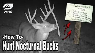 5 Nocturnal Buck Hunting Tips