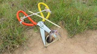 EASY SNAKE TRAP  How To Make Creative Method DIY Snake Trap Using Scissor That Work 100