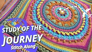 Introduction: Crochet Study of the Journey Afghan