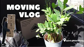 переезд в новый дом | moving vlog