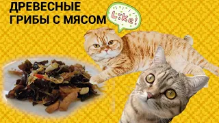 Рецепт Китайской Кухни. Древесные Грибы С Мясом И Фунчозой