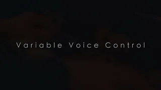 Vintage Vibe Variable Voice Control