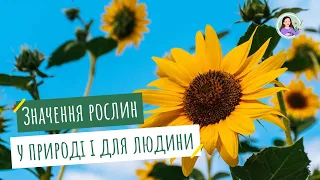 Значення рослин для існування життя на планеті Земля. Значення рослин для людини