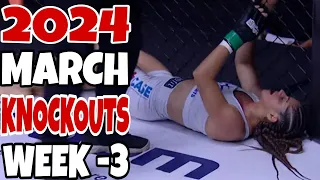 MMA & Boxing Knockouts I March 2024 Week 3