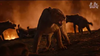 Lions Vs Hyenas    The Lion King   2019