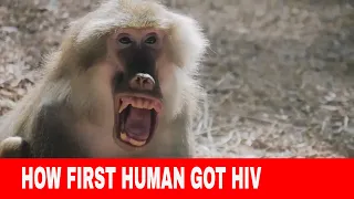 how did the first human get infected with HIV virus ?