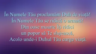 În Numele Tău  - Revive feat Ile Stancu Bereczki - lyrics