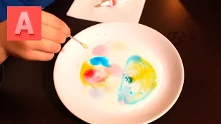 Эксперимент с молоком и пищевыми красками. Experiment with milk and food coloring.