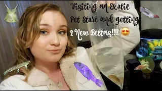 I WENT TO AN EXOTIC PET STORE AND GOT EXCITING NEW FISH & I GOT TWO NEW BETTAS! | ItsAnnaLouise