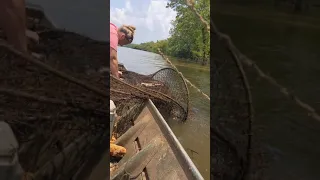 Justa running river hoop nets