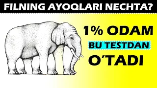 10 ta sur’at yordamida IQingizni bilib oling!