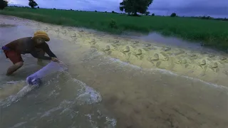 Amazing Flood Fishing 2020! Technique Fishing When Water Cross On The Road During Flood - tyriq 1256