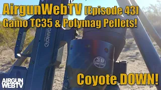 AGWTV – 2019 - EP43 - Coyote Kill with an Airgun! - Gamo TC35 & JSB Polymag Pellets!