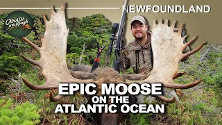 Remote Atlantic Ocean Hunt for Moose in Newfoundland | Canada in the Rough