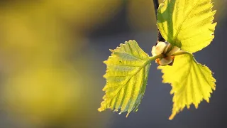 Varttuneiden leiripäivä 30.4.