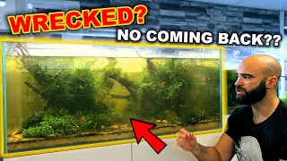 Saving My Aquarium From It's Inevitable Demise!! (Don't Use This Plant!!)