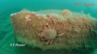 Diving in Plymouth Sound with In Deep