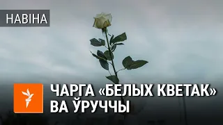 Чарга "белых кветак" ва Ўруччы | Очередь "белых цветов" в Уручье