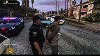 LSPDFR Traffic Stop