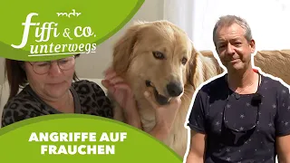 Fiffi & Co. unterwegs: Hovawart Lando greift Frauchen an | MDR um 4 | MDR