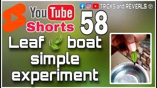 Leaf 🍃 boat experiment/#shorts/ #youtubeshorts/#experiments/tricks and reveals/Malayalam