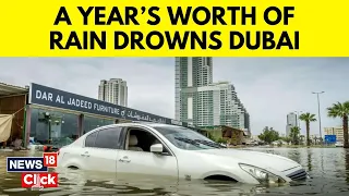 Dubai Floods | Flooding, Heavy Rain Briefly Halt Operations At Dubai International Airport | N18V
