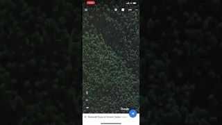 Bigfoot spotted on google earth