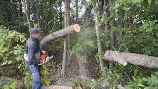Заготівля дров 2022
