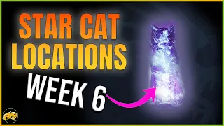 Destiny 2 - Starcat Locations - Week 6 - Spine of Keres, Confluence, Harbinger's Seclude, Gardens