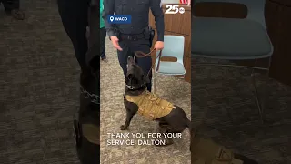 Thank you for your service, Dalton!