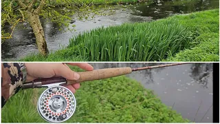 River Avon Dry Fly Fishing