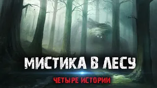 Мистика в лесу (4в1) Выпуск № 4.