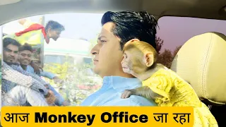 आज  Nikki भी Office  जायेगी🥵// Sumit Cool Dubey