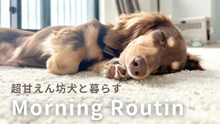 20代同棲カップルと小型犬のモーニングルーティン