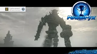 Shadow of the Colossus (PS4) - Resist the Wrist Trophy Guide