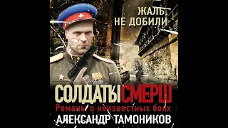 Александр Тамоников – Жаль, не добили. [Аудиокнига]