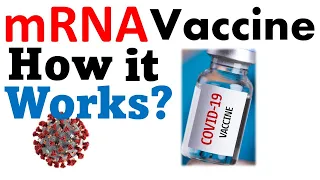 RNA vaccine how it works | mRNA vaccine against covid 19